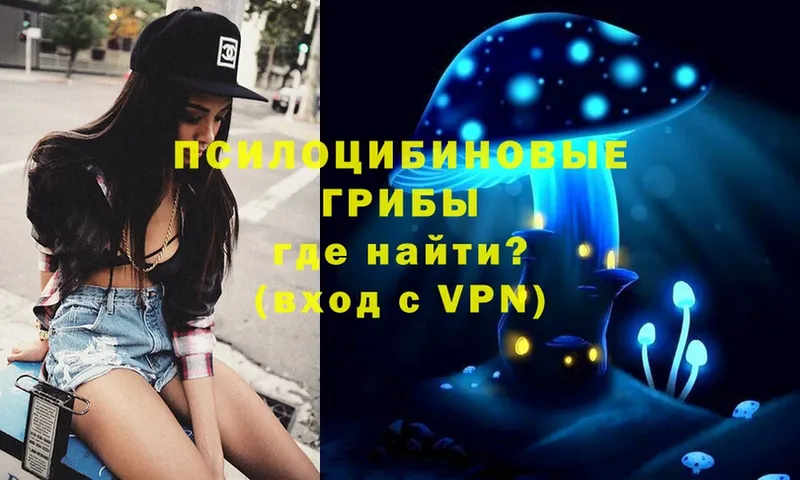 Псилоцибиновые грибы MAGIC MUSHROOMS  Пикалёво 